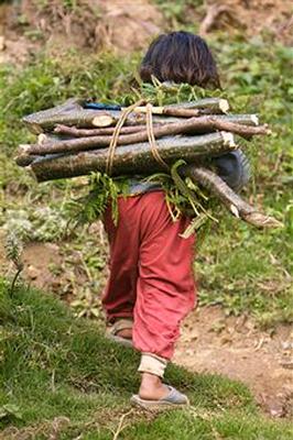 child labour.jpg